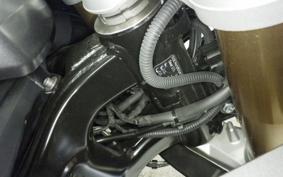 BMW F900GS 2025