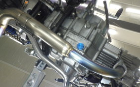 HONDA MONKEY 2018 Z50J