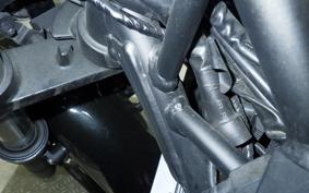 KAWASAKI NINJA 400 2018 EX400G