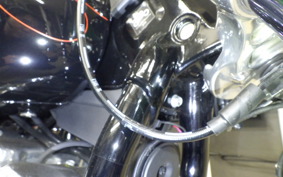 HARLEY FXST1750 2024