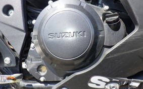 SUZUKI GSX250RA
