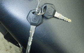 YAMAHA YZF-R3 2020 RH13J