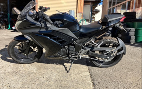 KAWASAKI NINJA 250 EX250L