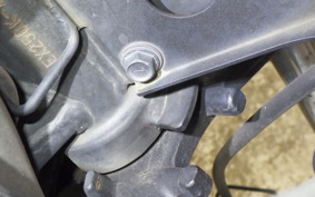 KAWASAKI NINJA 250R EX250K