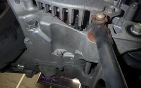 HONDA LEAD 110 2024 JF19