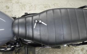 KAWASAKI W800 STREET 2022 EJ800E