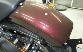 HARLEY XL1200NS 2019