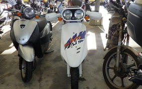 HONDA DIO BAJA AF28