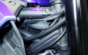 YAMAHA MT-25 A 2010 RG43J