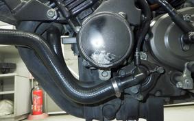 HONDA HORNET 250 2022 MC31