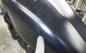 HARLEY XL883N 2019