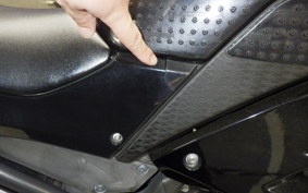 KAWASAKI NINJA 250 2019 EX250L