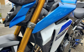 SUZUKI GSX-S 1000 2024 EK1AA