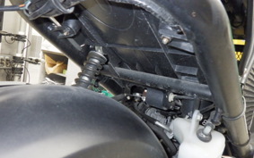 HONDA ZOOMER 2006 AF58