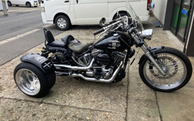 HARLEY FLSTF TRIKE 2007 BX5