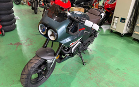 OTHER CFMOTO XO-1 PAPIO
