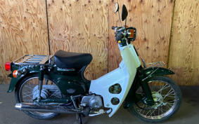 HONDA SUPER CUB50 C50