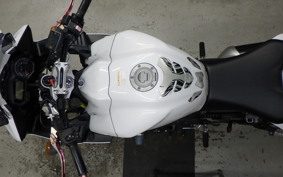 YAMAHA FZ1 FAZER 2010 RN21J