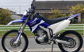 YAMAHA WR250R DG15J