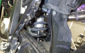 YAMAHA WR250X 2021 DG15J