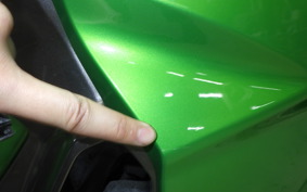 KAWASAKI VERSYS-X 250 A LE250D