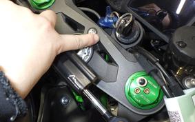 KAWASAKI NINJA H2 CARBON 2019 ZXT02J