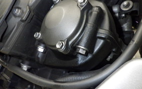 TRIUMPH TRIDENT 660 2023