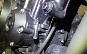 HONDA CL500 2024 PC68