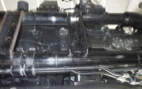 HARLEY XL1200XS 2020