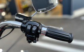 HARLEY FLHTC 1995 DPL