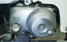 HONDA C50 SUPER CUB 2024 C50