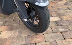 HONDA ZOOMER-X JF52