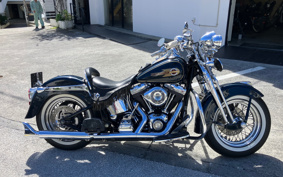 HARLEY FLSTS1450 2001 BRY