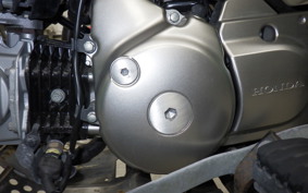 HONDA CT125 HUNTER CUB 2025 JA55