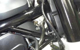 HUSQVARNA SVARTPILEN 401 2021