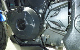 KAWASAKI Z250 SL 2021 BR250E