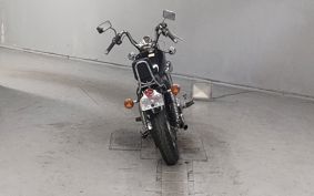 YAMAHA VIRAGO 250 3DM