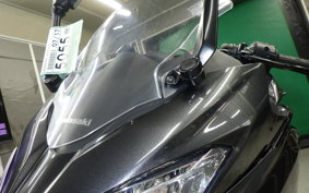 KAWASAKI NINJA 250 2 2019 EX250P