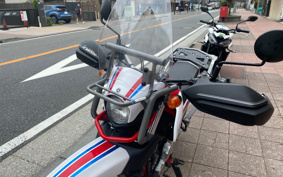 YAMAHA  SEROW 250 FINAL ED DG31J