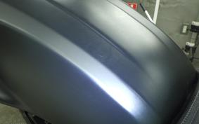 OTHER +MUTT DRK-01 250 1999