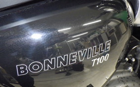 TRIUMPH BONNEVILLE T100 2024