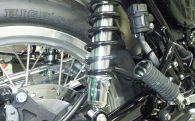 KAWASAKI W800 2021 EJ800B