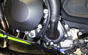 KAWASAKI NINJA ZX-6R A 2024 ZX636J