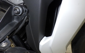 BMW S1000XR 2021