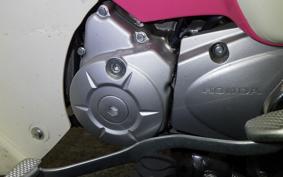 HONDA C110 SUPER CUB 2010 JA44