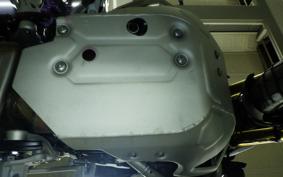 TRIUMPH TIGER 1200 RALLY 2024