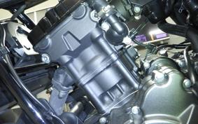 HONDA REBEL 250 2002 MC49