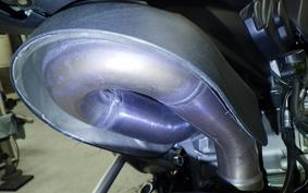 DUCATI PANIGALE V2 2024