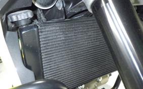 SUZUKI Vｽﾄﾛｰﾑ1050XT 2021 EF11M