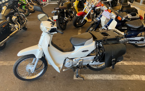 HONDA SUPER CUB110 JA10